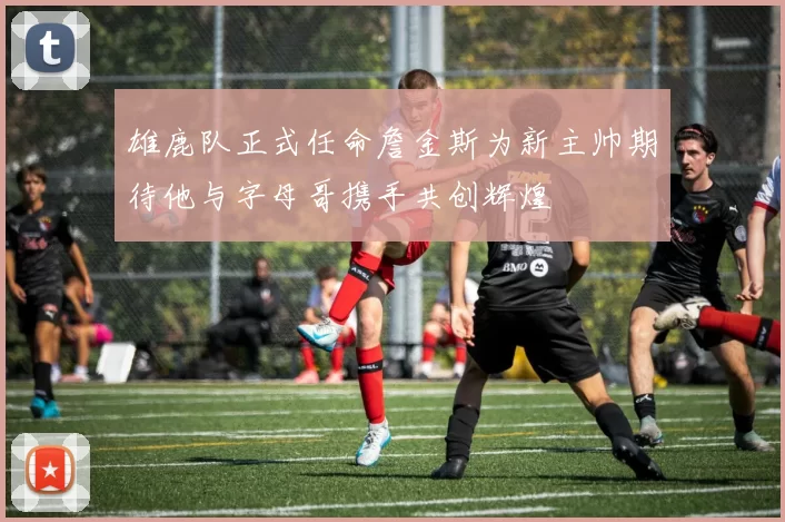 雄鹿队正式任命詹金斯为新主帅期待他与字母哥携手共创辉煌