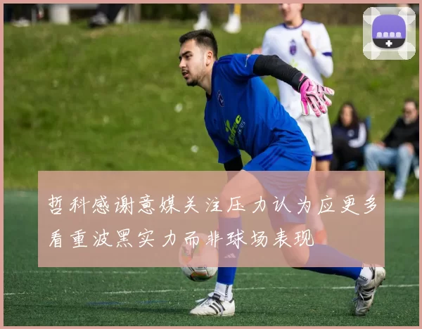 哲科感谢意媒关注压力认为应更多看重波黑实力而非球场表现
